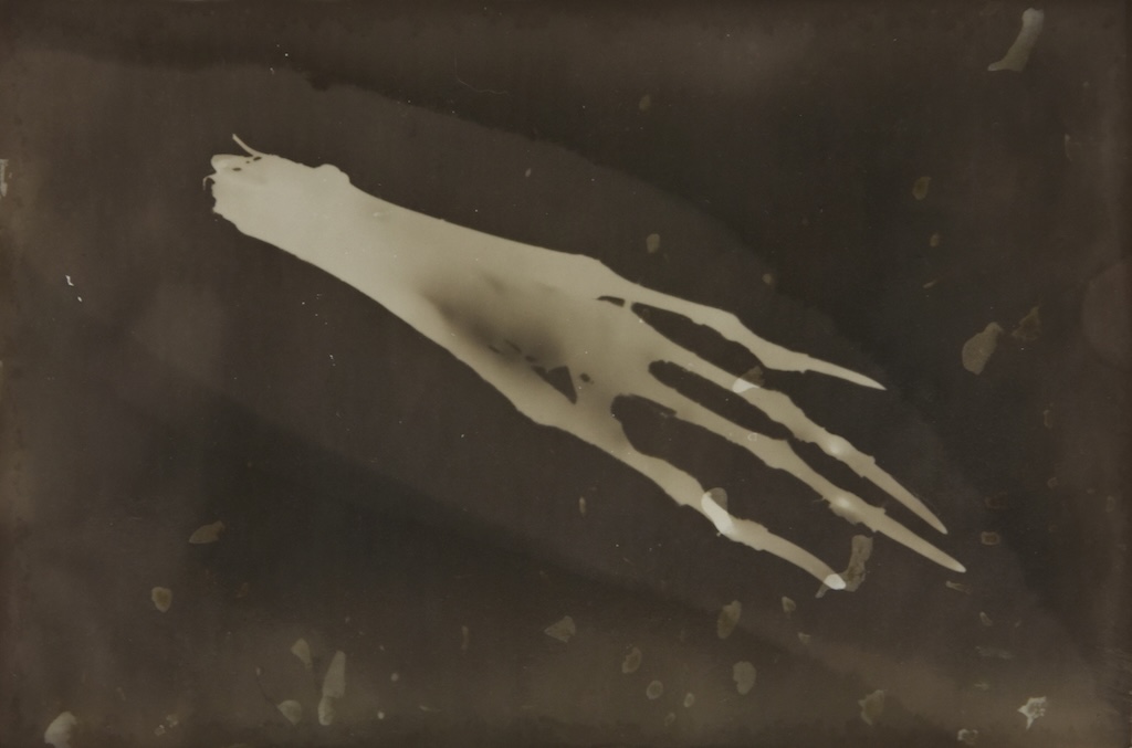 023.M.Ferru_.soeurs.sylve_ Photos / experimentation