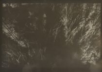 025.M.Ferru_.soeurs.sylve_-300x150 Photos / experimentation