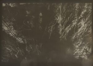 025.M.Ferru_.soeurs.sylve_-300x214 justmagd.com