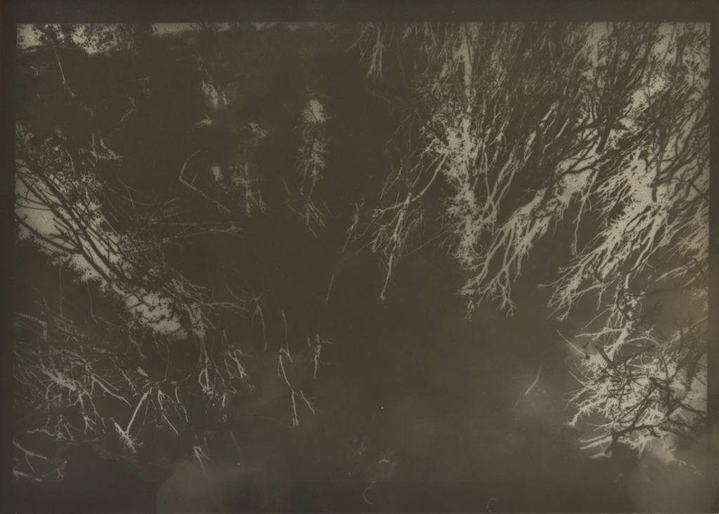 025.M.Ferru_.soeurs.sylve_ Photos / experimentation