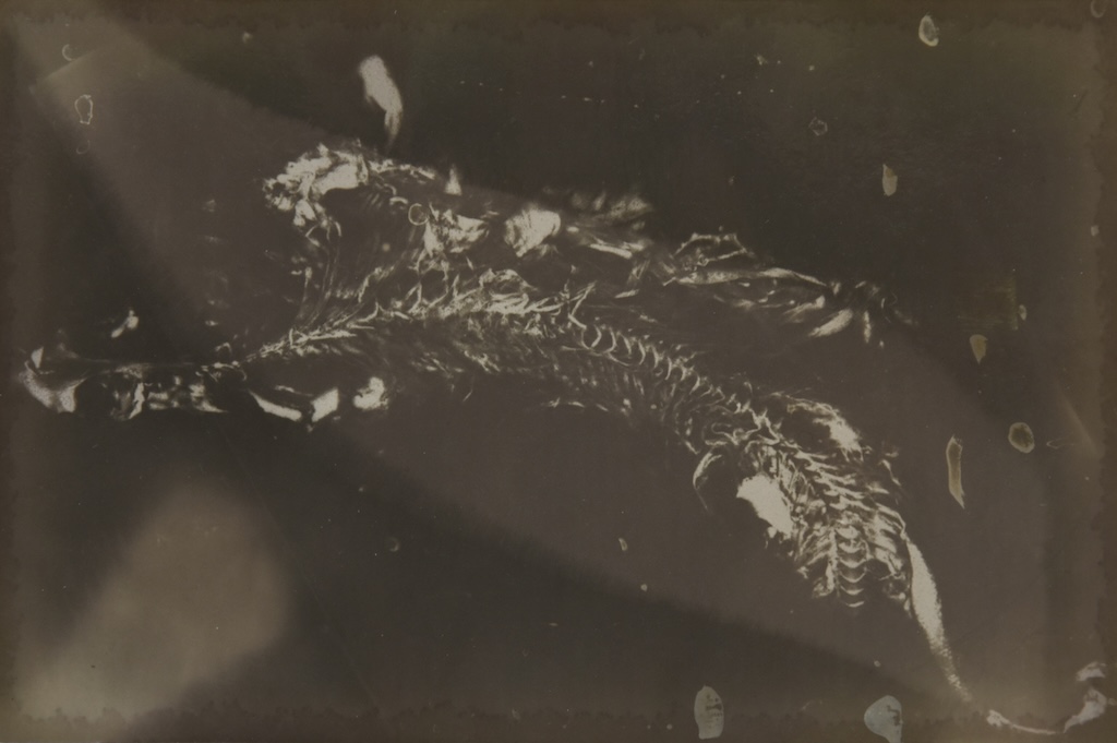 027.M.Ferru_.soeurs.sylve_ Photos / experimentation