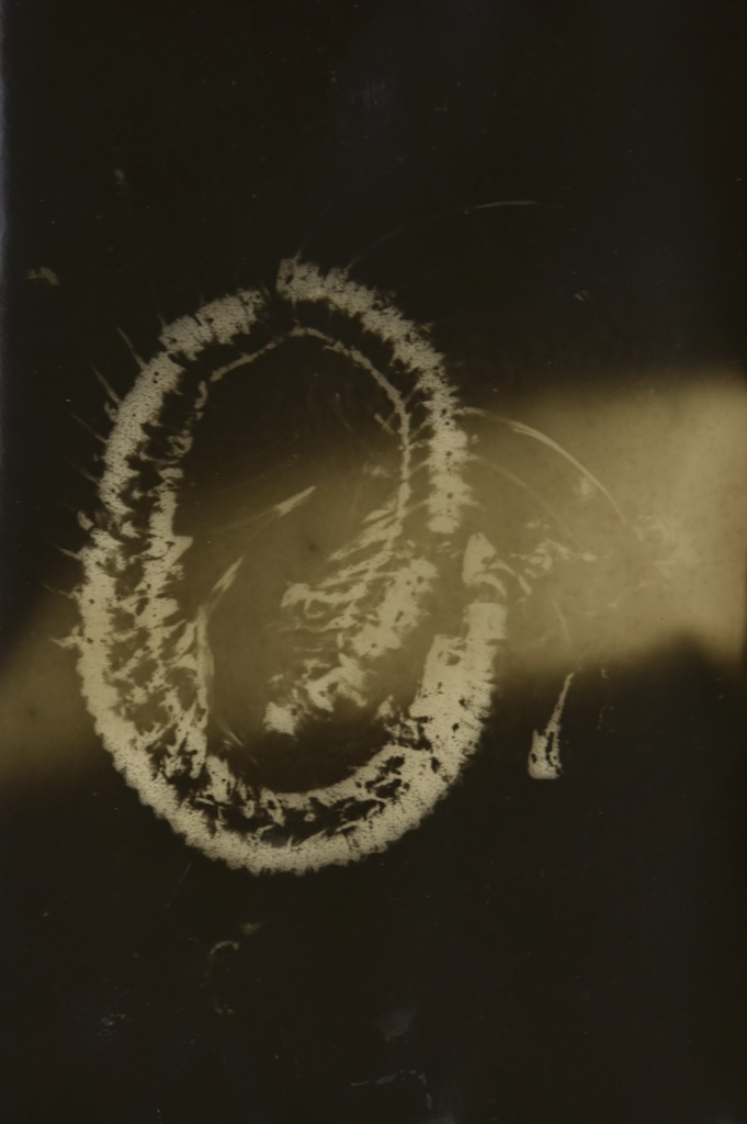 028.M.Ferru_.soeurs.sylve_ Photos / experimentation
