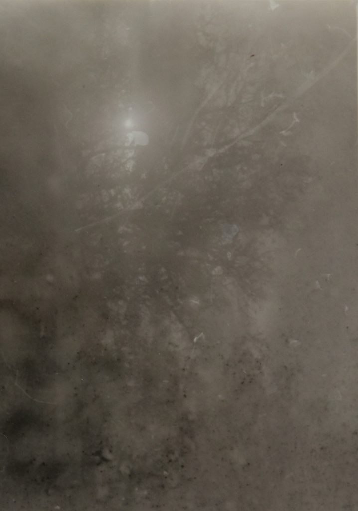 034.M.Ferru_.soeurs.sylve_ Photos / experimentation