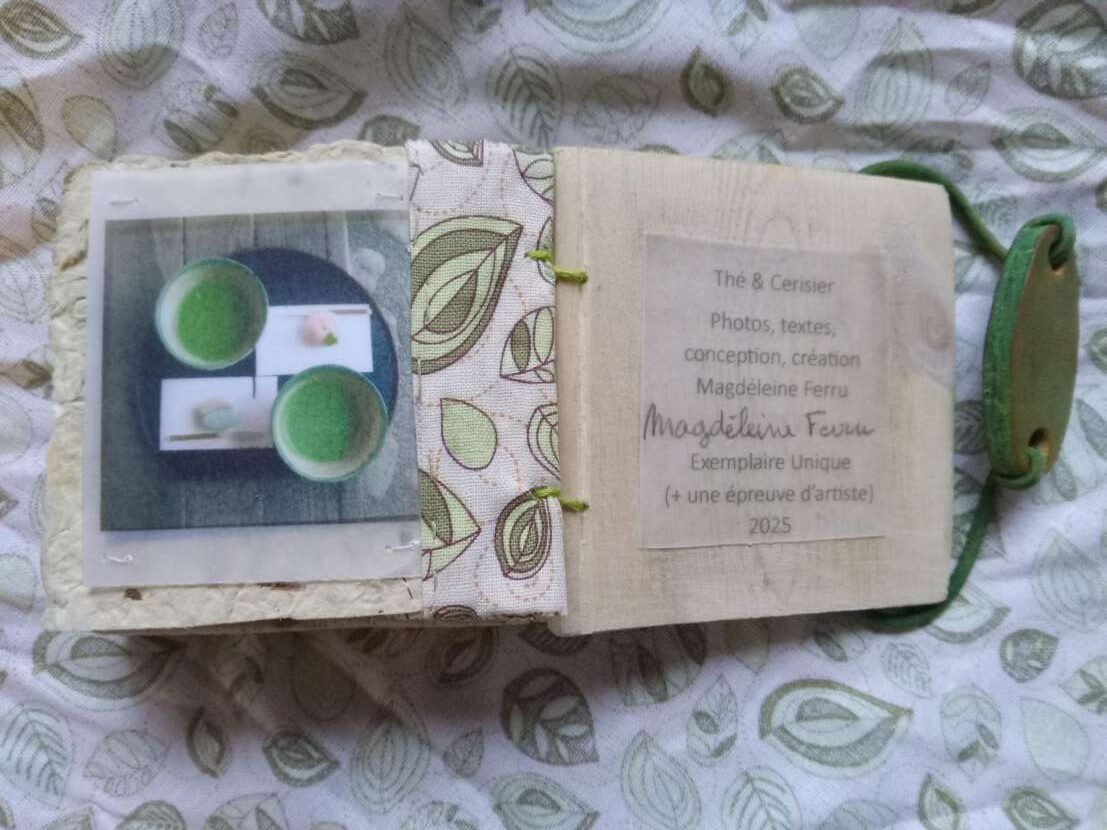 1734977863494-e1762851117589 Artist Book