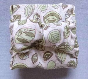 1734979024179-300x271 1734979024179