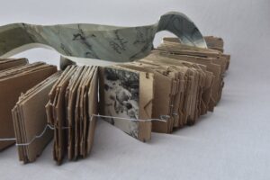 DSC3956-300x200 justmagd.com