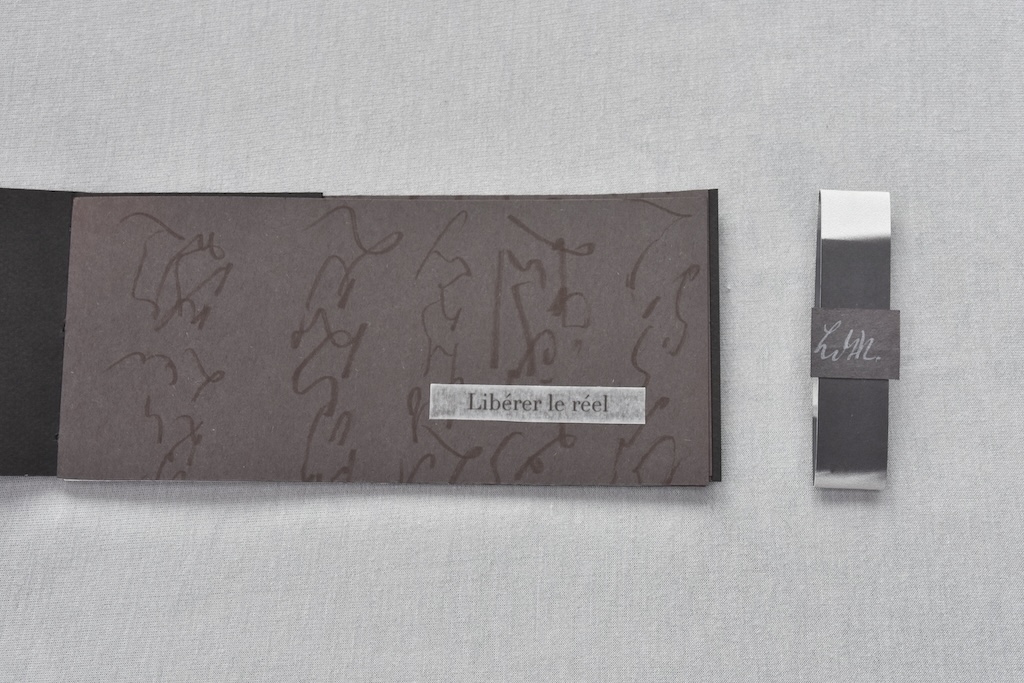 DSC4031-copie Artist Book