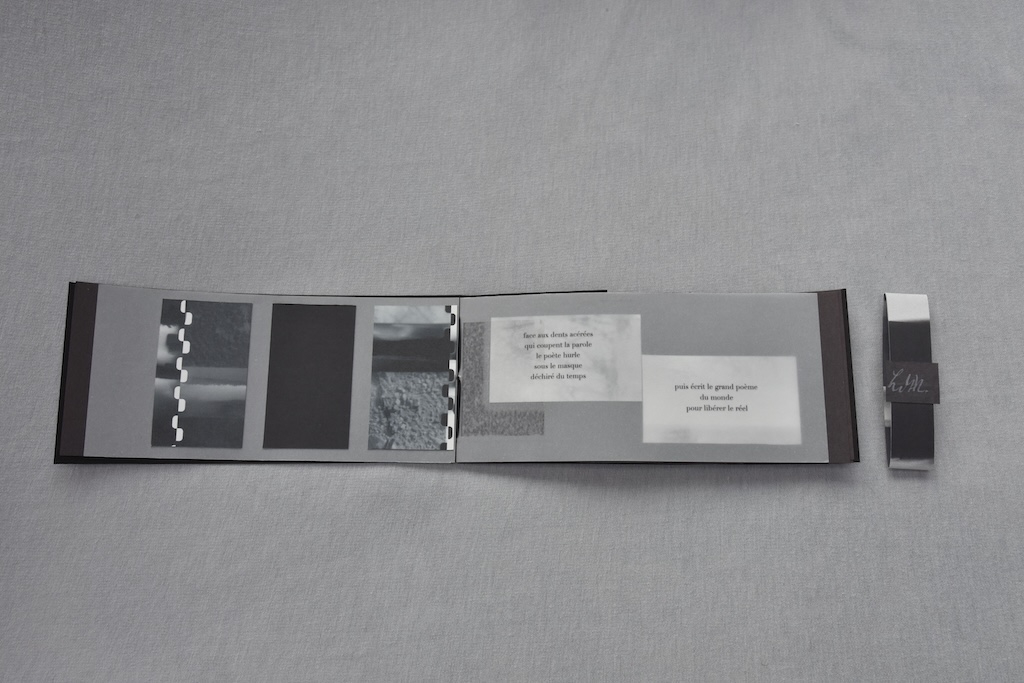 DSC4032-copie Artist Book