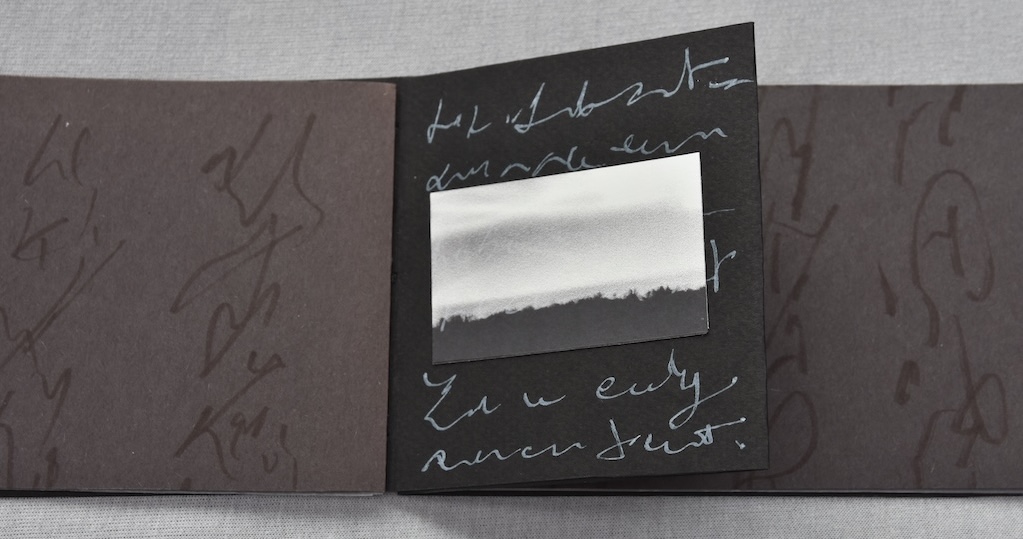 DSC4036-copie Artist Book