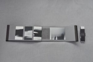 DSC4037-copie-300x200 justmagd.com