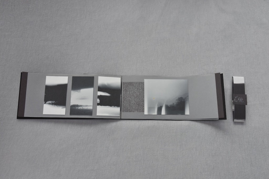 DSC4037-copie Artist Book