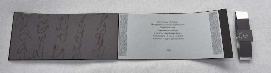 DSC4040-copie Artist Book