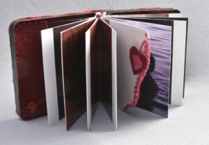 M.Ferru_.Desir_.03-300x208 justmagd.com