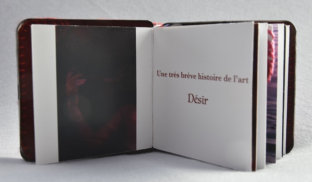 M.Ferru_.Desir_.05 Artist Book