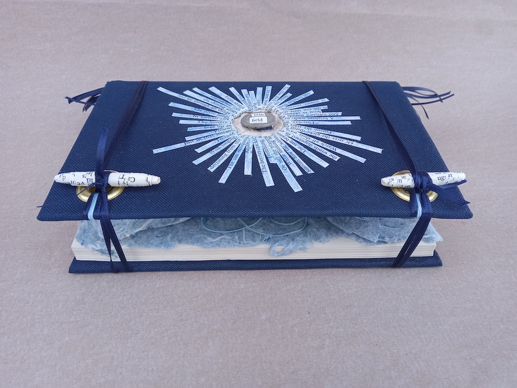 Magdeleine.Ferru_.blue_.field_.01 Artist Book