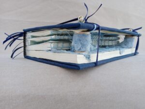 Magdeleine.Ferru_.blue_.field_.02-300x225 Magdéleine.Ferru.blue.field.02