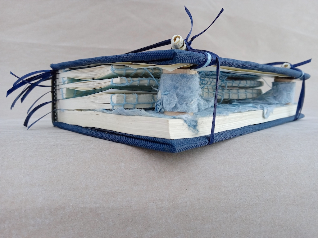 Magdeleine.Ferru_.blue_.field_.02 Artist Book