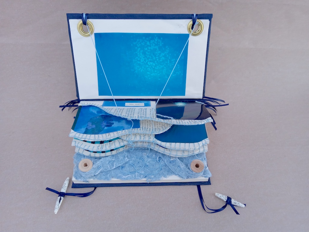 Magdeleine.Ferru_.blue_.field_.04 Artist Book