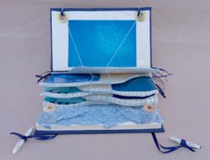 Magdeleine.Ferru_.blue_.field_.05-300x228 Magdéleine.Ferru.blue.field.05