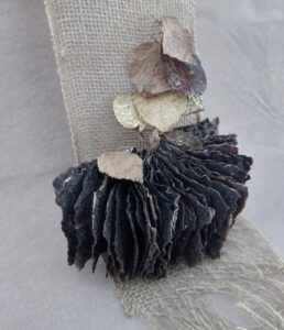 media_20250214_140420_9147611036715247449-258x300 media_20250214_140420_9147611036715247449