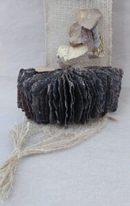 media_20250214_140421_1999087727877397204-189x300 media_20250214_140421_1999087727877397204