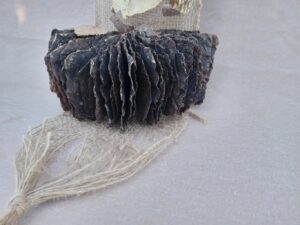 media_20250214_140421_7329501178257753182-300x225 media_20250214_140421_7329501178257753182