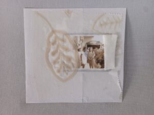 media_20250412_035138_2536664297940734057-300x225 media_20250412_035138_2536664297940734057