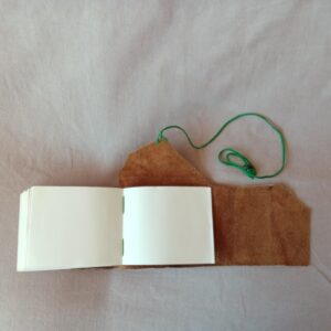 20260318_143109-300x300 20260318_143109